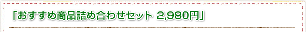 おすすめ商品詰め合わせセット 2,980円」