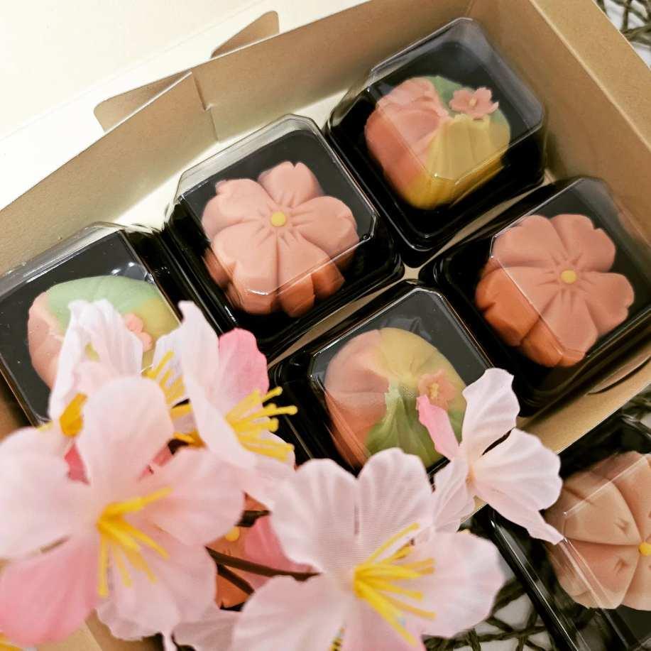 リアルスタイル 濱中流「毎日の練習メニューコース」（3枚セット） リアルスタイル 濱中流「毎日の練習メニューコース」（3枚セット）