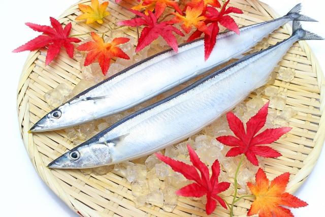 さばく方法 調理バリエーションが学べる お魚講座 サンマ 開催 単発 個人 子連ｏｋ 小平市の家庭料理教室 なつやすみ 東京都小平市 の2020年9月レッスン情報 料理教室検索サイト クスパ