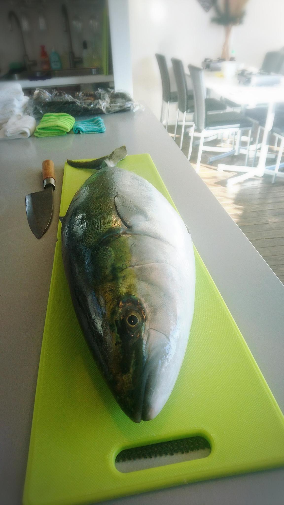 大人気 大型魚にチャレンジ ぶり丸ごと１本さばきましょう 開催