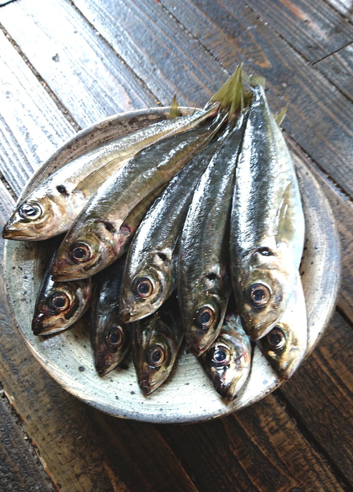 魚市場直送の新鮮お魚をとにかくひたすらさばく レッスン 開催 Essenza Style お魚料理教室 福岡県福岡市早良区 の2020年9月レッスン情報 料理教室検索サイト クスパ