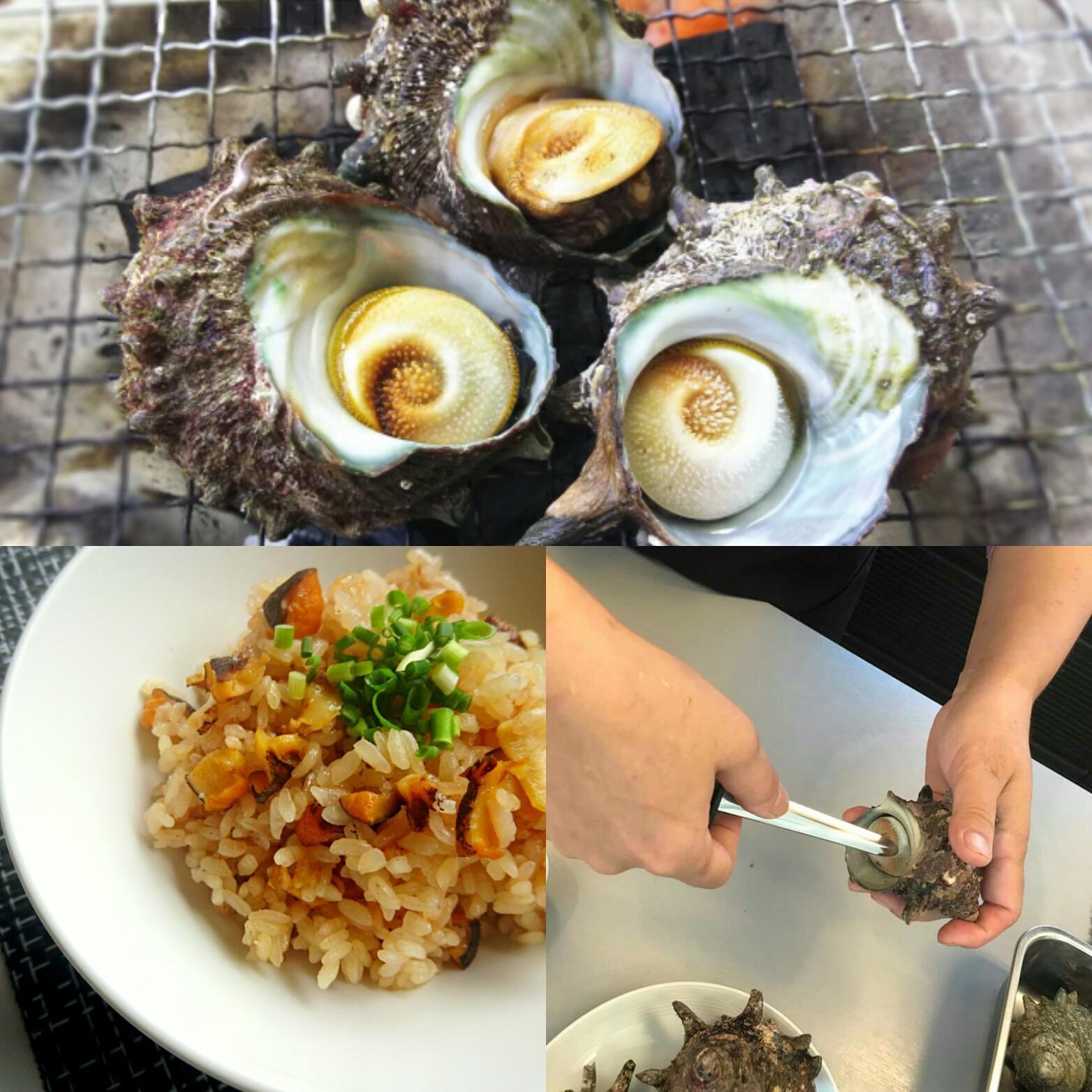Gwお魚マスター B サザエをさばいてサザエ料理をマスター 19年5月6日 開催 Essenza Style お魚料理教室 福岡県福岡市早良区 の19年5月レッスン情報 料理教室検索サイト クスパ