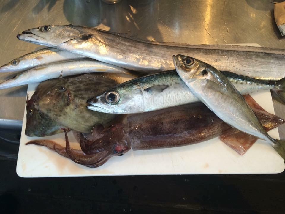 料理人の魚さばき見学 味噌会 参加条件有 17年12月17日 開催 手仕事を楽しむ料理教室 よつ葉 神奈川県平塚市 の17年12月レッスン情報 料理教室検索サイト クスパ