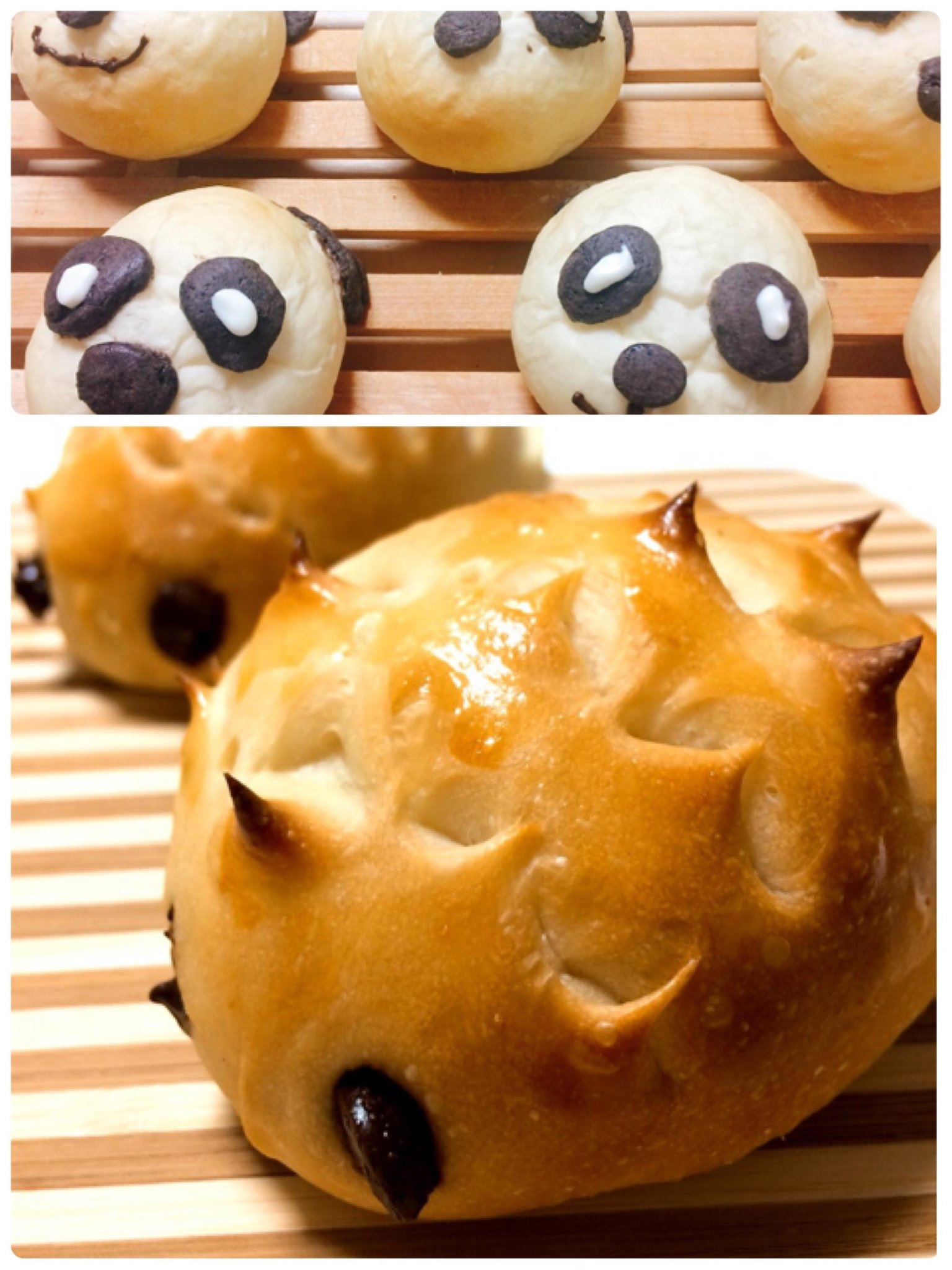 動物パンシリーズ パンダパンorハリネズミパン 18年6月21日 開催 大阪池田市手作りパン教室casa De Pane 大阪府池田市 の18年6月レッスン情報 料理教室検索サイト クスパ