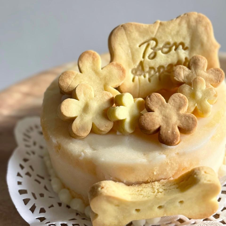 オンライン 犬用ケーキ 愛犬のためのグルテンフリーおやつ 22年4月27日 開催 赤ちゃんと一緒に習い事 パン教室 ハナリズム パンの会 東京都江戸川区 の22年4月レッスン情報 料理教室検索サイト クスパ