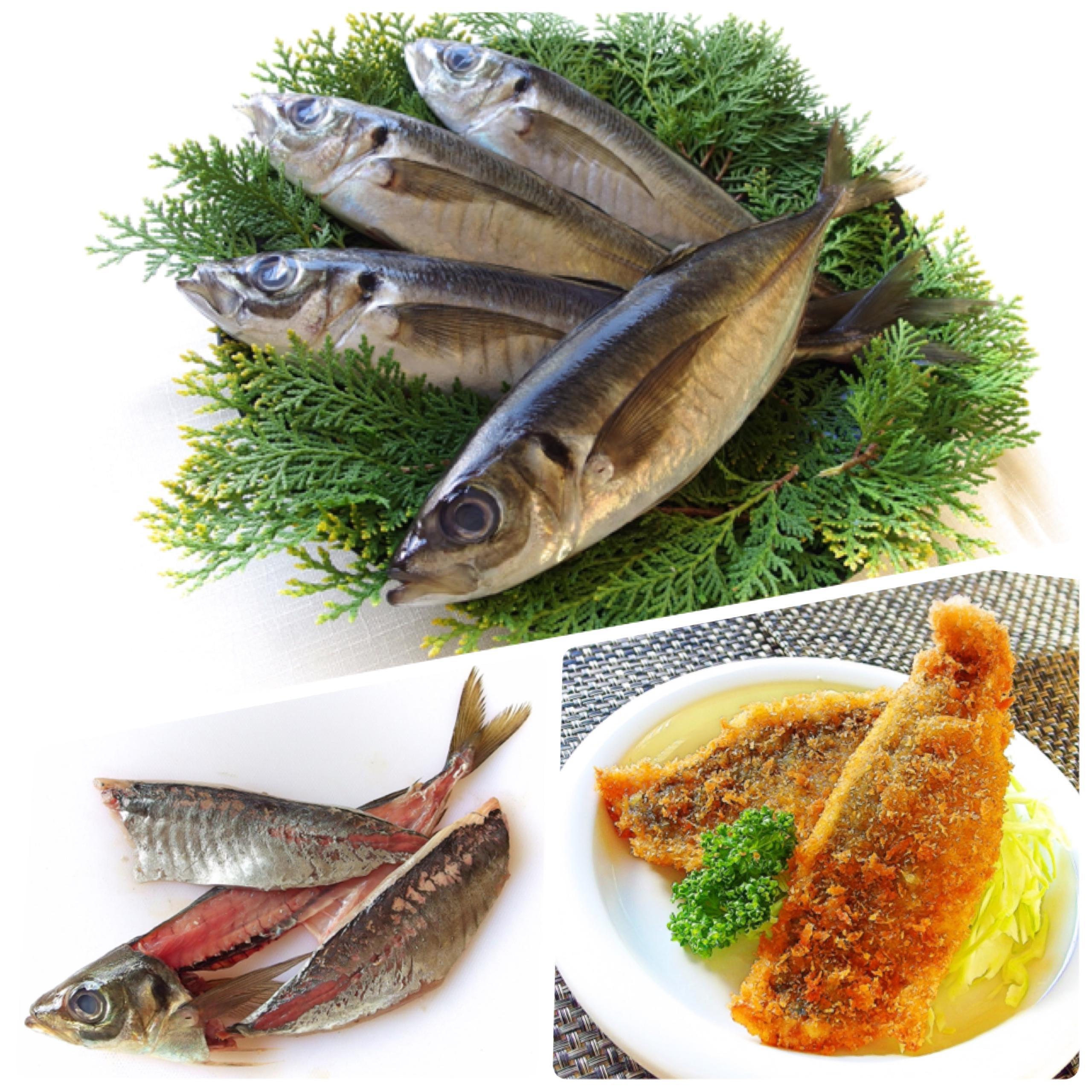 三枚おろし完全攻略! 4尾捌いて鯵フライ、浅蜊ご飯と豆五目煮