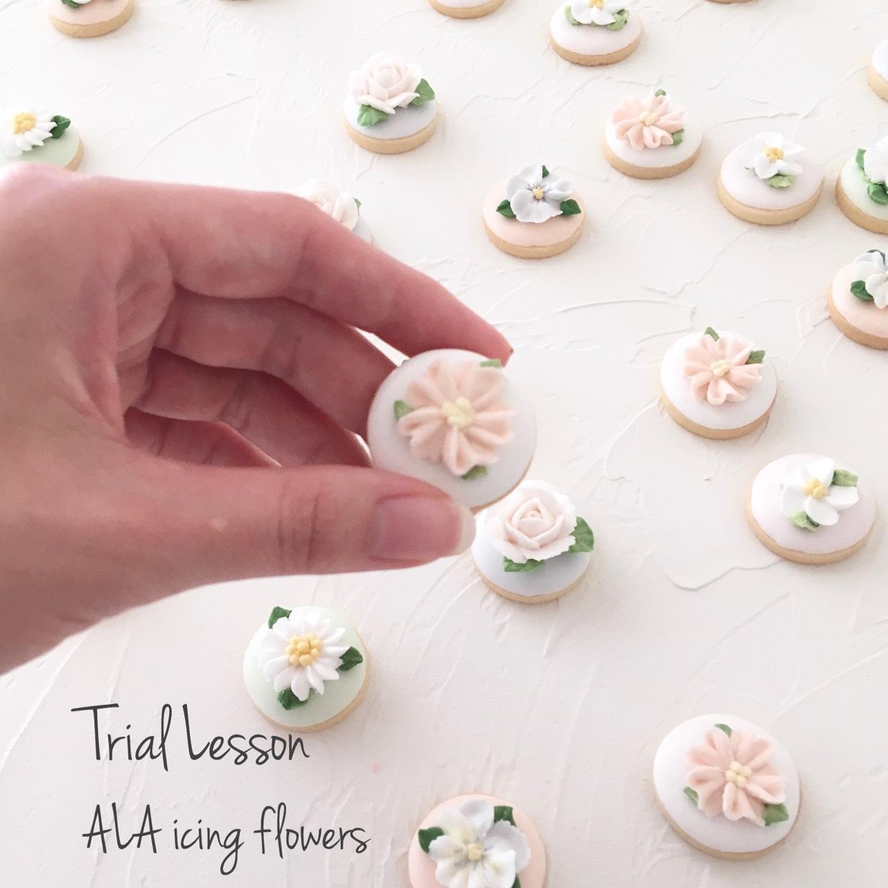 Alaアイシングフラワー講座体験レッスン 年8月17日 開催 スイーツデコレーションサロンvelvet Leaf 千葉県松戸市 の年8月レッスン情報 料理教室検索サイト クスパ