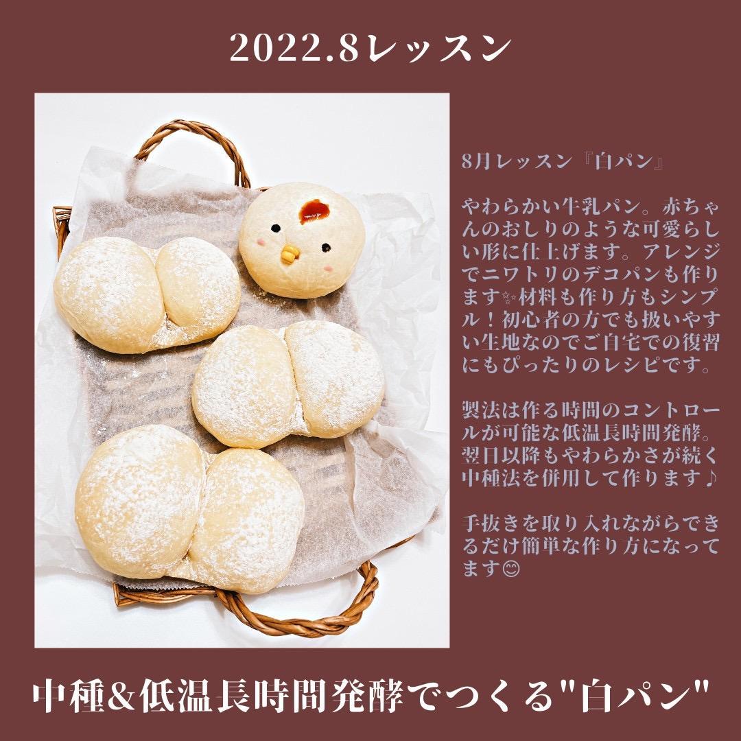 中種法 低温長時間発酵でつくる 白パン 22年8月25日 開催 小平市パン お菓子教室 Uma 鷹の台駅にあるモデルルームのレンタルして開催 の22年8月レッスン情報 料理教室検索サイト クスパ
