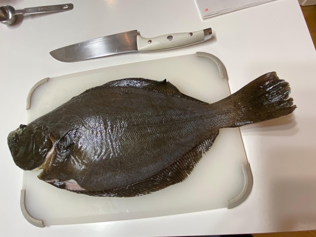 ヒラメの５枚おろしを受講しました 今 2nd Kitchen 魚の学校 クスパ